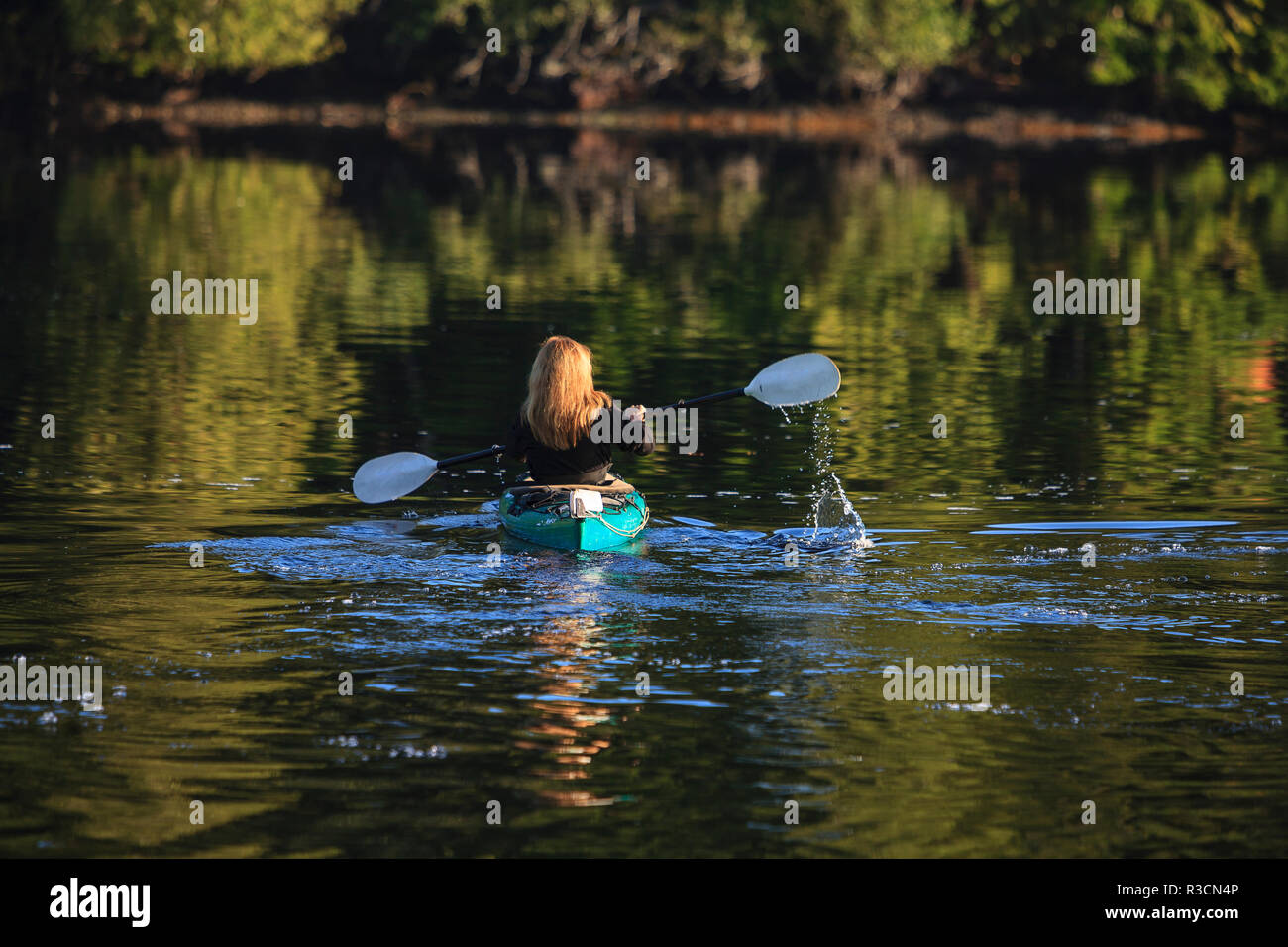 Kayakers in Clam Cove vicino al passaggio di doratura, Nord Isola di Vancouver, British Columbia, Canada Foto Stock