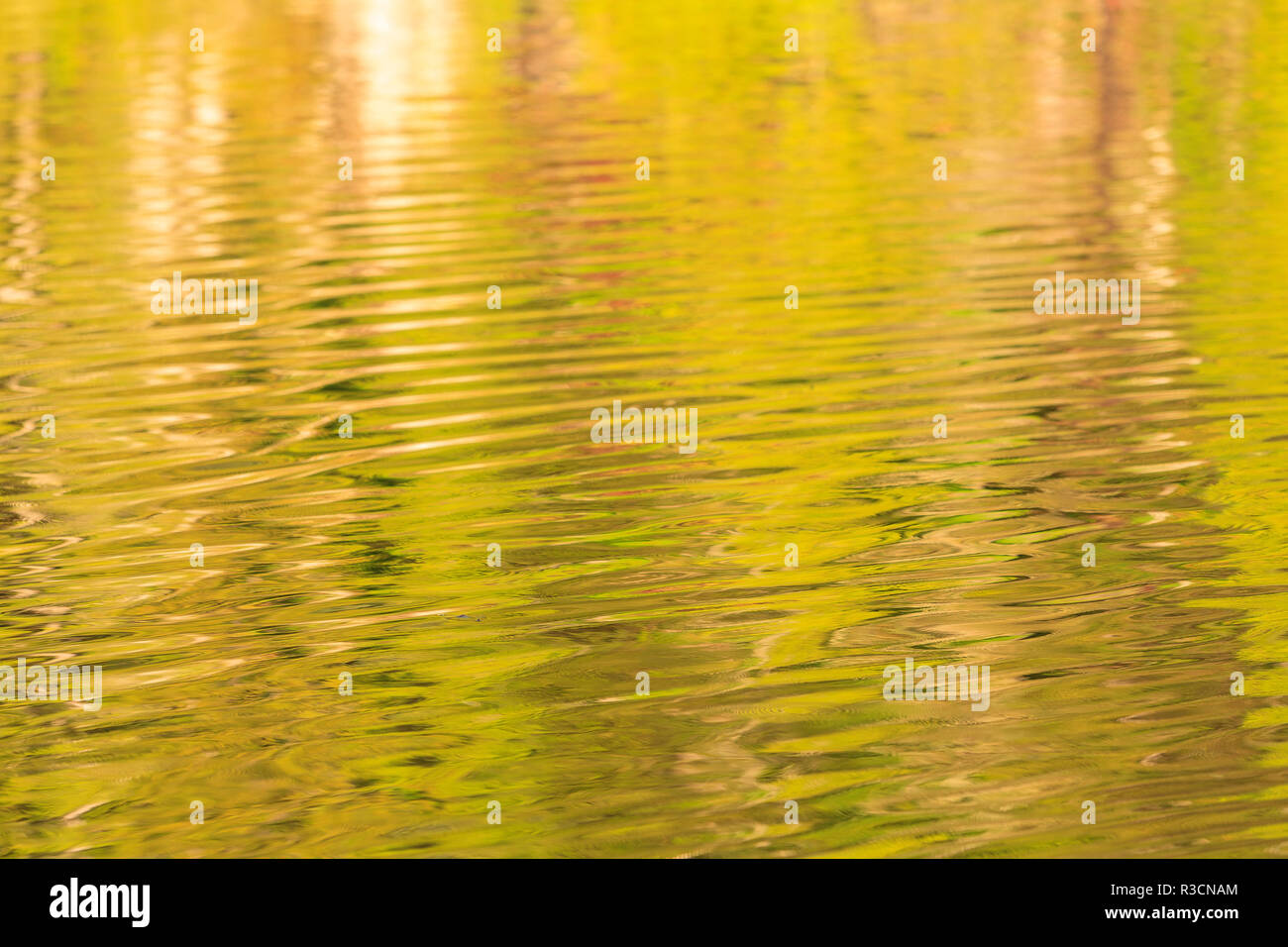 Acqua di riflessioni di passaggio di doratura, nel nord della isola di Vancouver, British Columbia, Canada Foto Stock