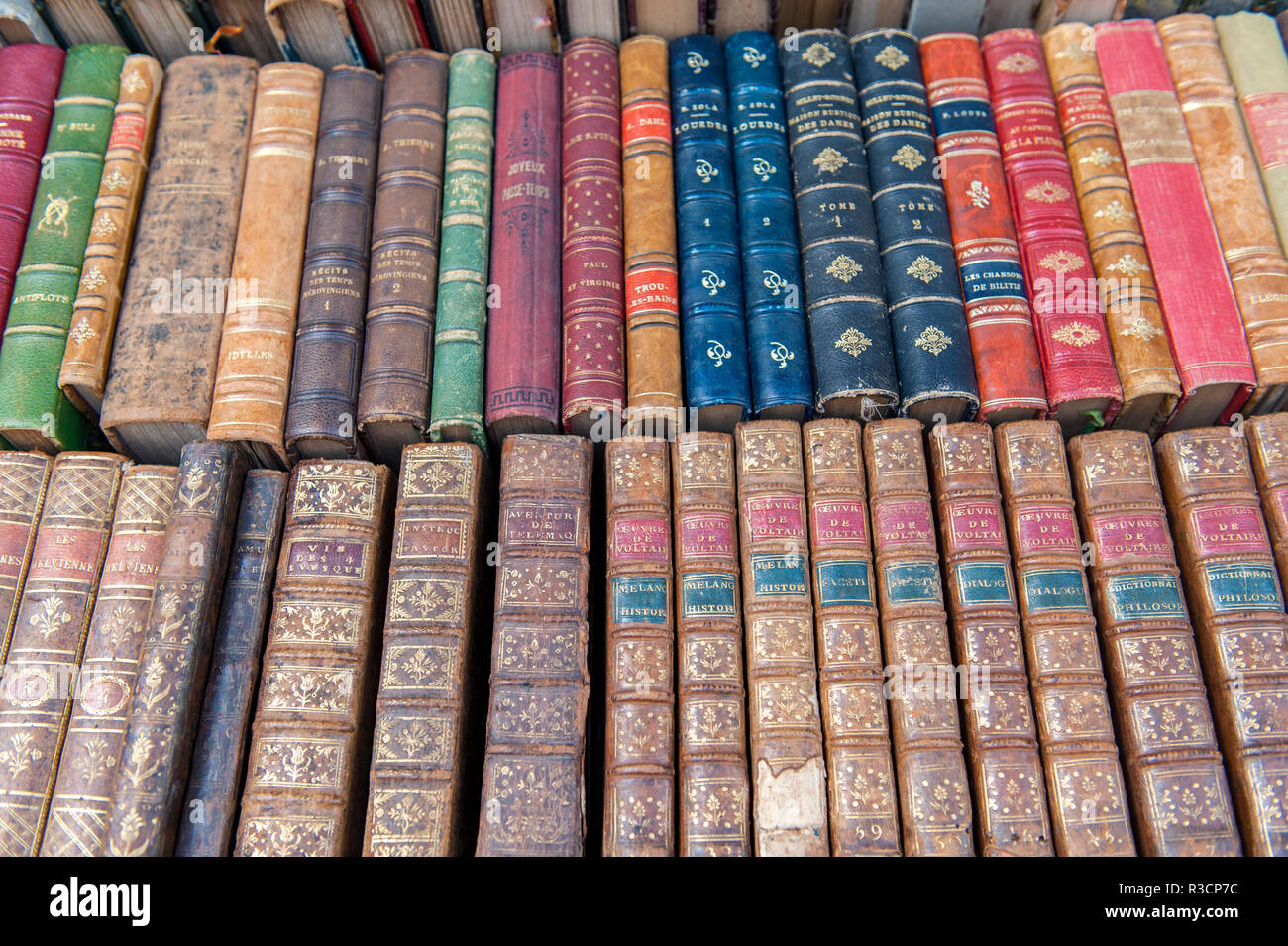 Antichi libri francese di Digione Borgogna, Francia Foto Stock
