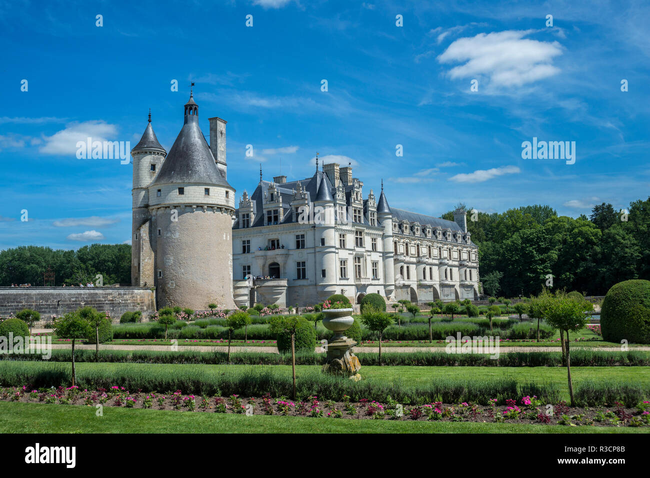 Chateau de Chenonceau, Chenonceaux, Francia Foto Stock