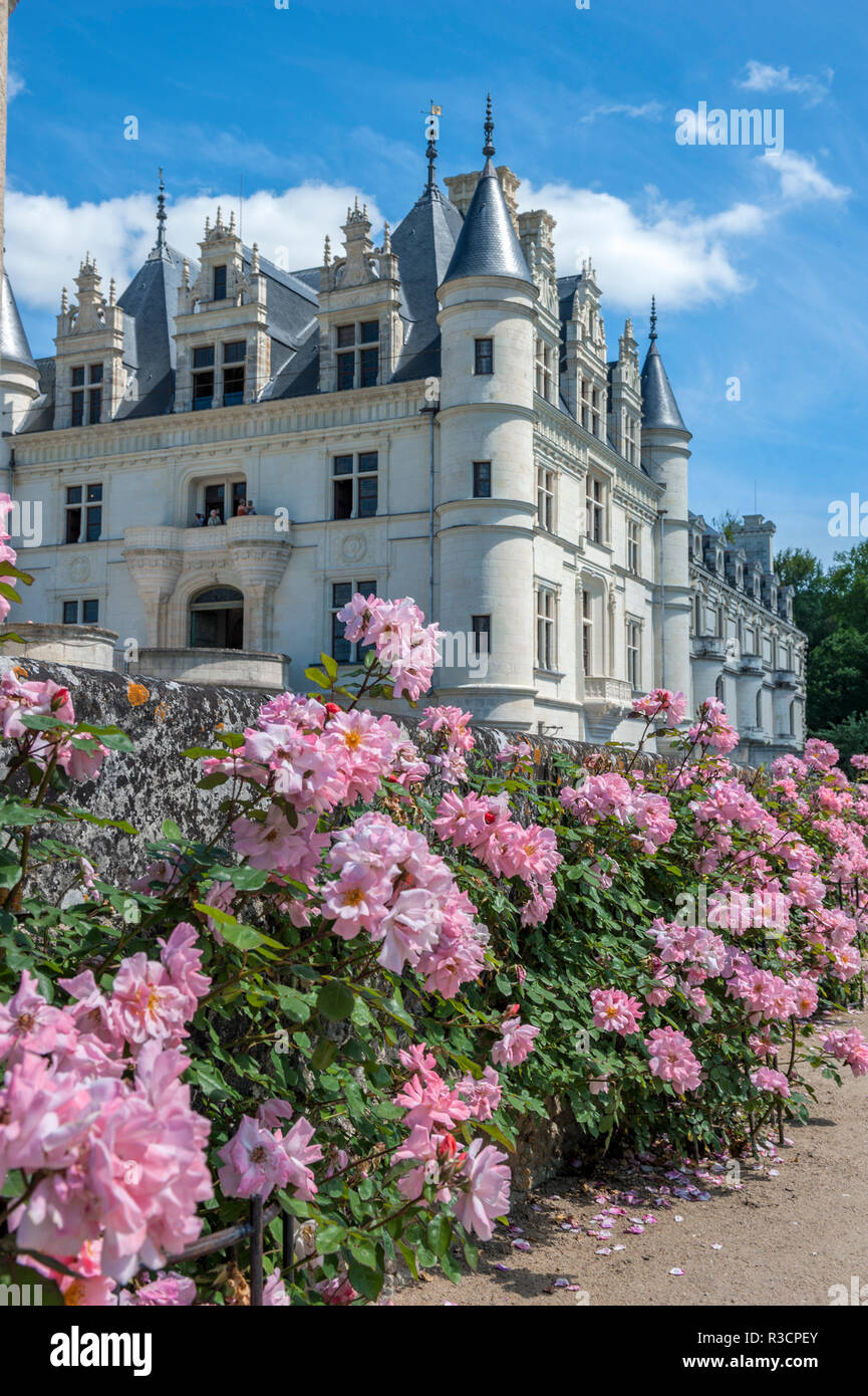 Chateau de Chenonceau, Chenonceaux, Francia Foto Stock