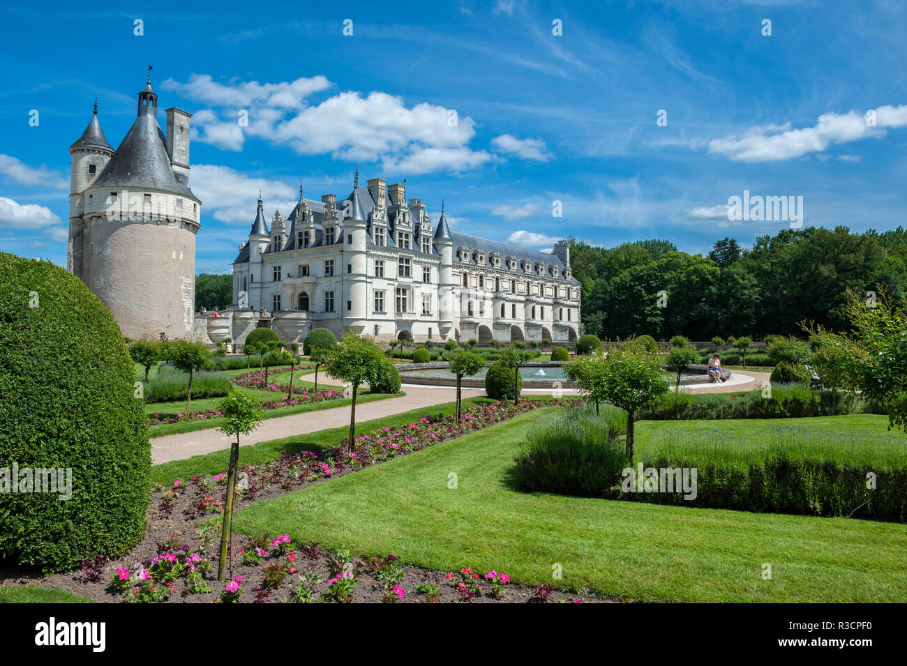 Catherine's Garden, Chateau de Chenonceau, Chenonceaux, Francia Foto Stock