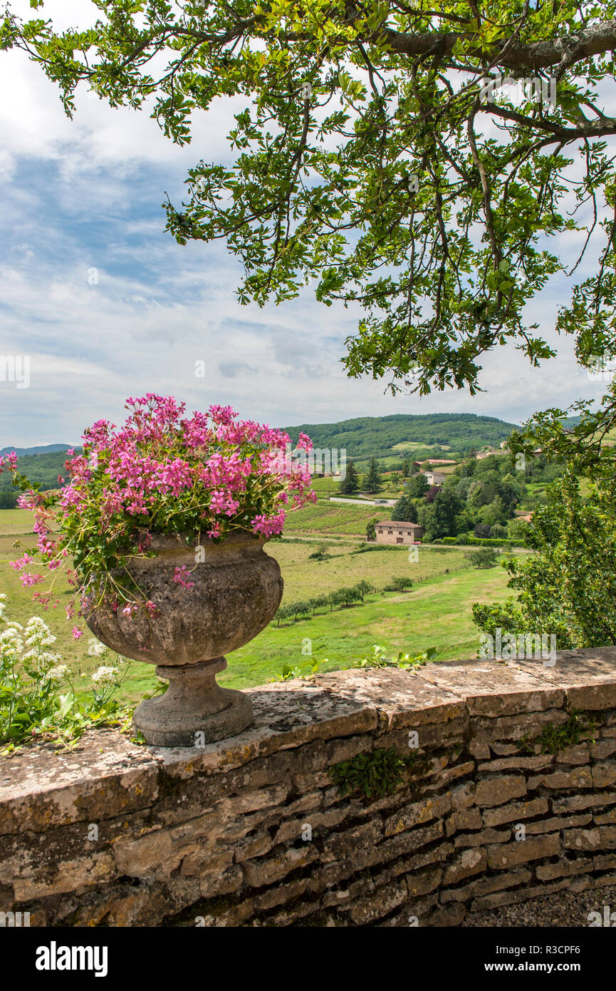 Terrazza, Chateau de, Pierreclos Pierreclos, Maconnaise, Borgogna, Francia Foto Stock