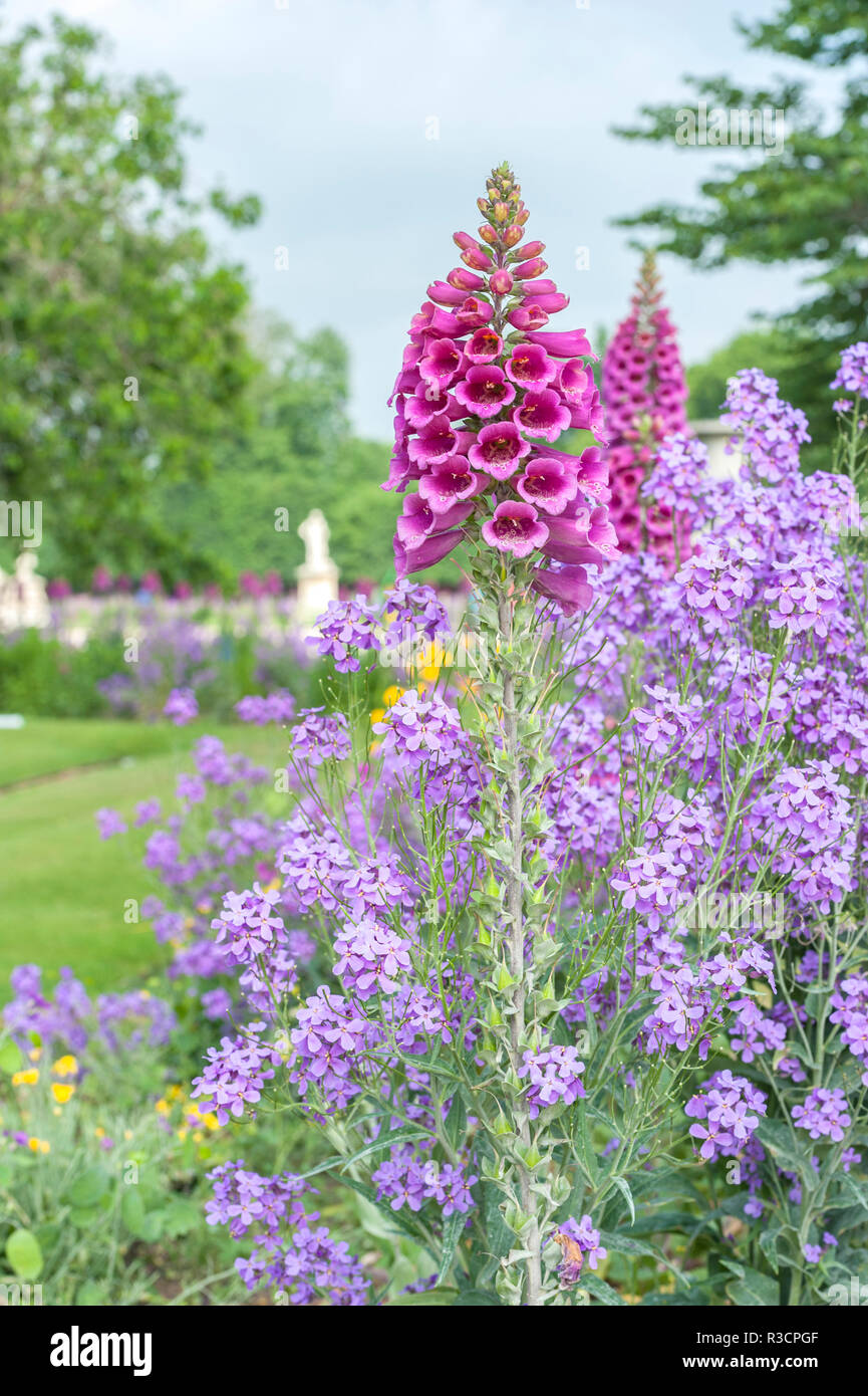 Giardino delle Tuileries, Parigi, Francia Foto Stock