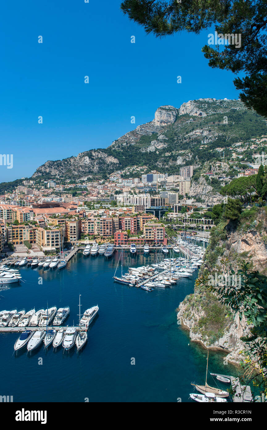 Marina, Port de Fontvieille, Fontvieille, Monaco, Cote d'Azur, Europa Foto Stock