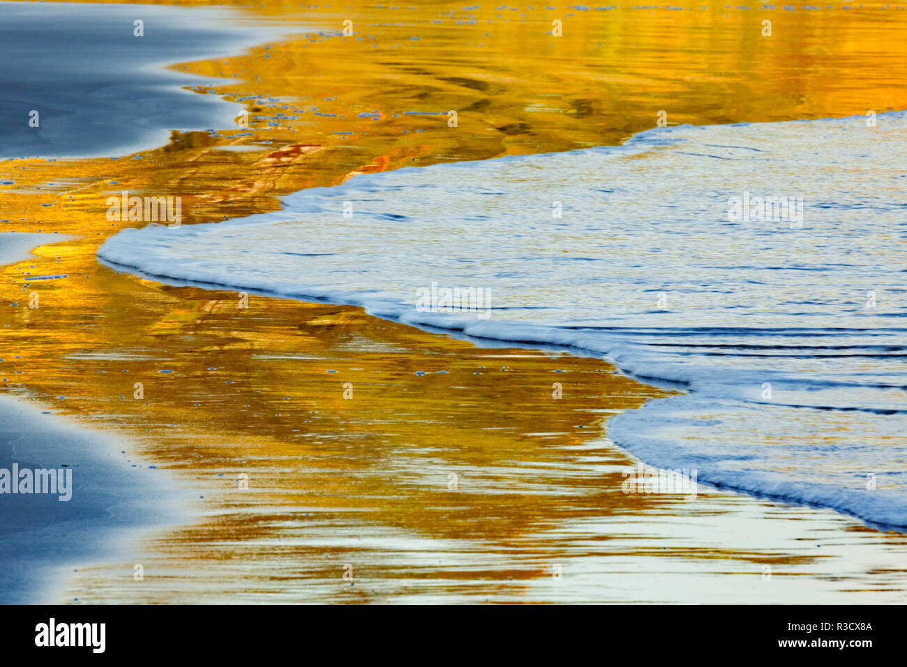 La riflessione al tramonto sulla spiaggia, spiaggia indiano, Ecola State Park, Oregon Foto Stock