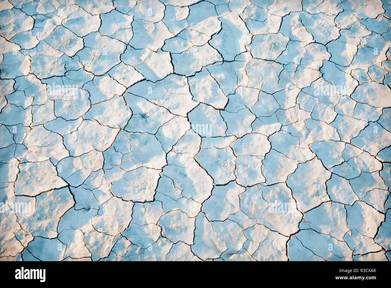 Stati Uniti d'America, Oregon, Alvord deserto. Crackled minerali sale playa on dry lake bed. Foto Stock