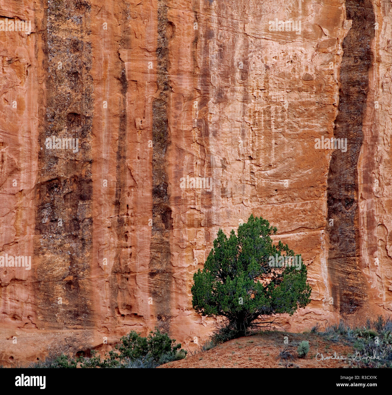 Stati Uniti d'America, Utah, Grand Staircase-Escalante monumento nazionale Foto Stock