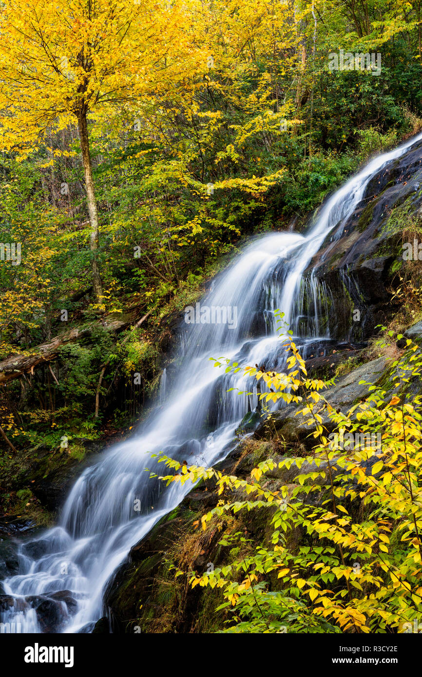 Stati Uniti d'America, Virginia, Blue Ridge Parkway. George Washington National Forest, Colore di autunno in Crabtree cade Foto Stock