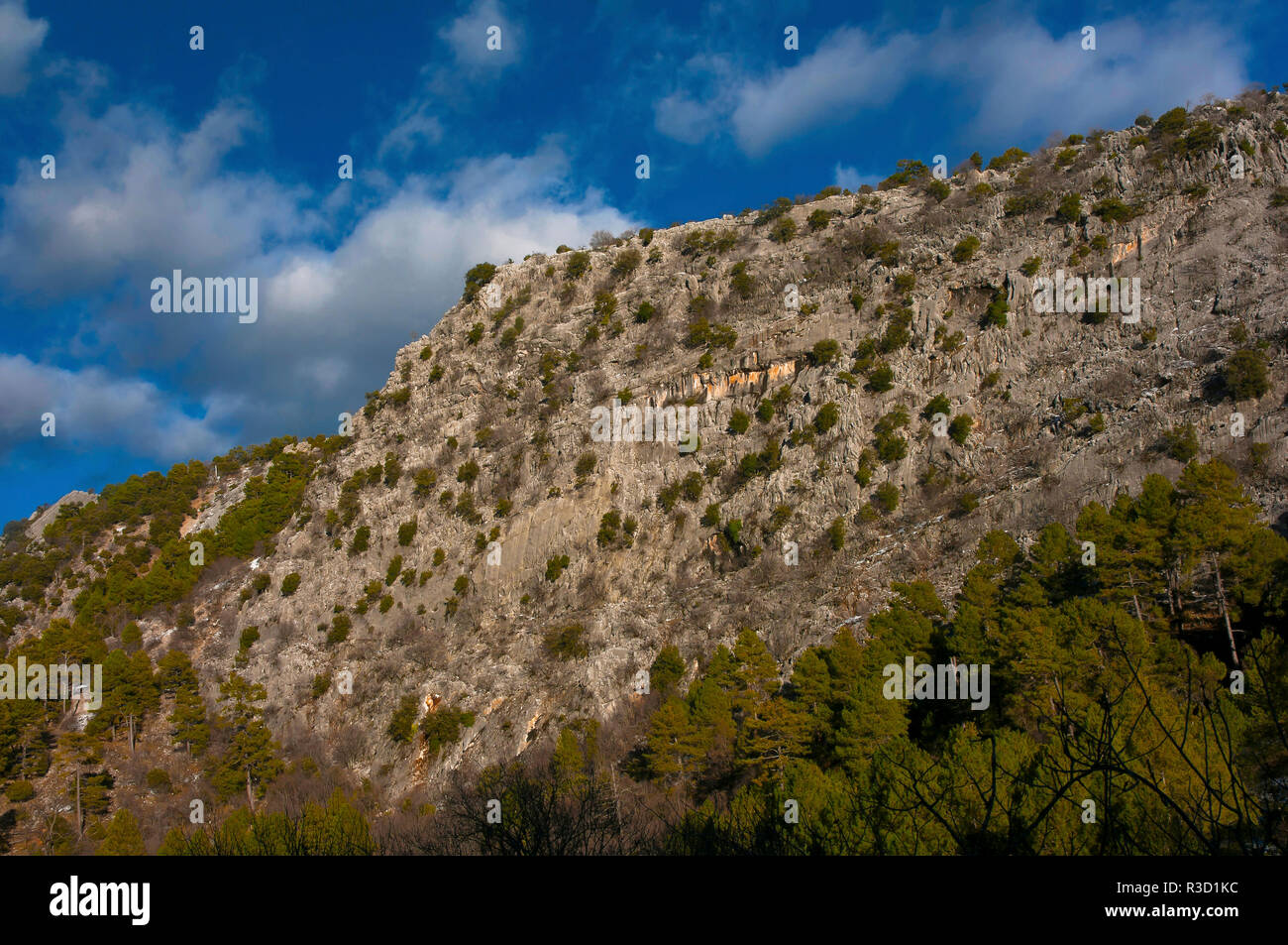 Paesaggio roccioso, parco naturale della Sierras de Cazorla Segura y Las Villas, Jaen-provincia, regione dell'Andalusia, Spagna, Europa Foto Stock