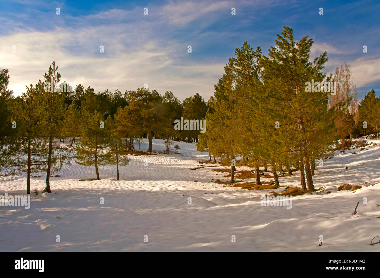 Paesaggio nevicato, parco naturale della Sierras de Cazorla Segura y Las Villas, Jaen-provincia, regione dell'Andalusia, Spagna, Europa Foto Stock
