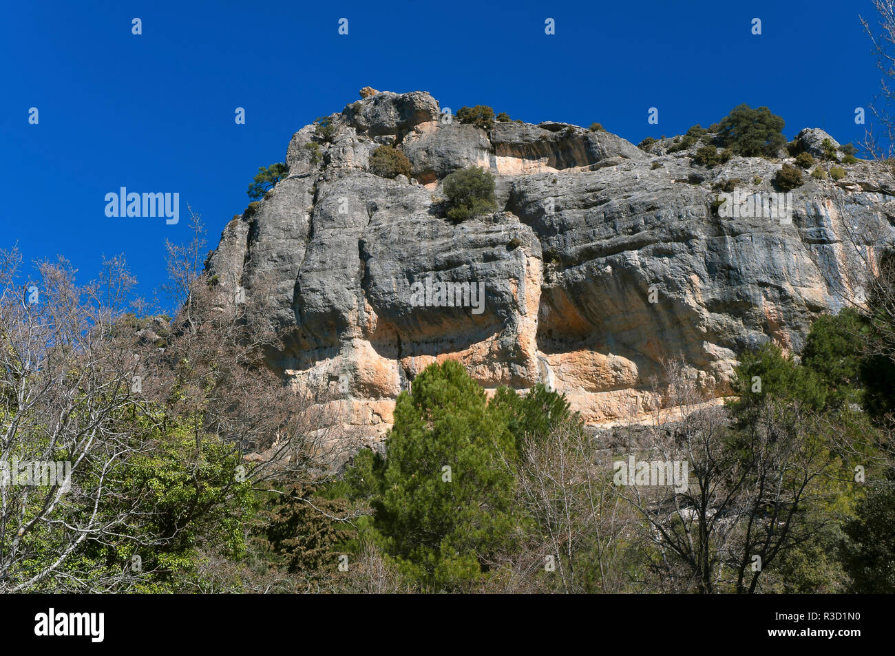 Paesaggio roccioso, parco naturale della Sierras de Cazorla Segura y Las Villas, Jaen-provincia, regione dell'Andalusia, Spagna; Europa Foto Stock