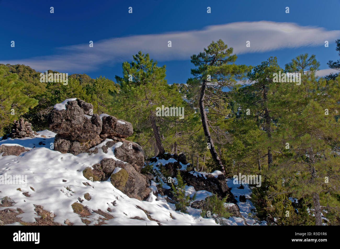 Paesaggio Innevato, parco naturale della Sierras de Cazorla Segura y Las Villas, Jaen provincia, regione dell'Andalusia, Spagna; Europa Foto Stock