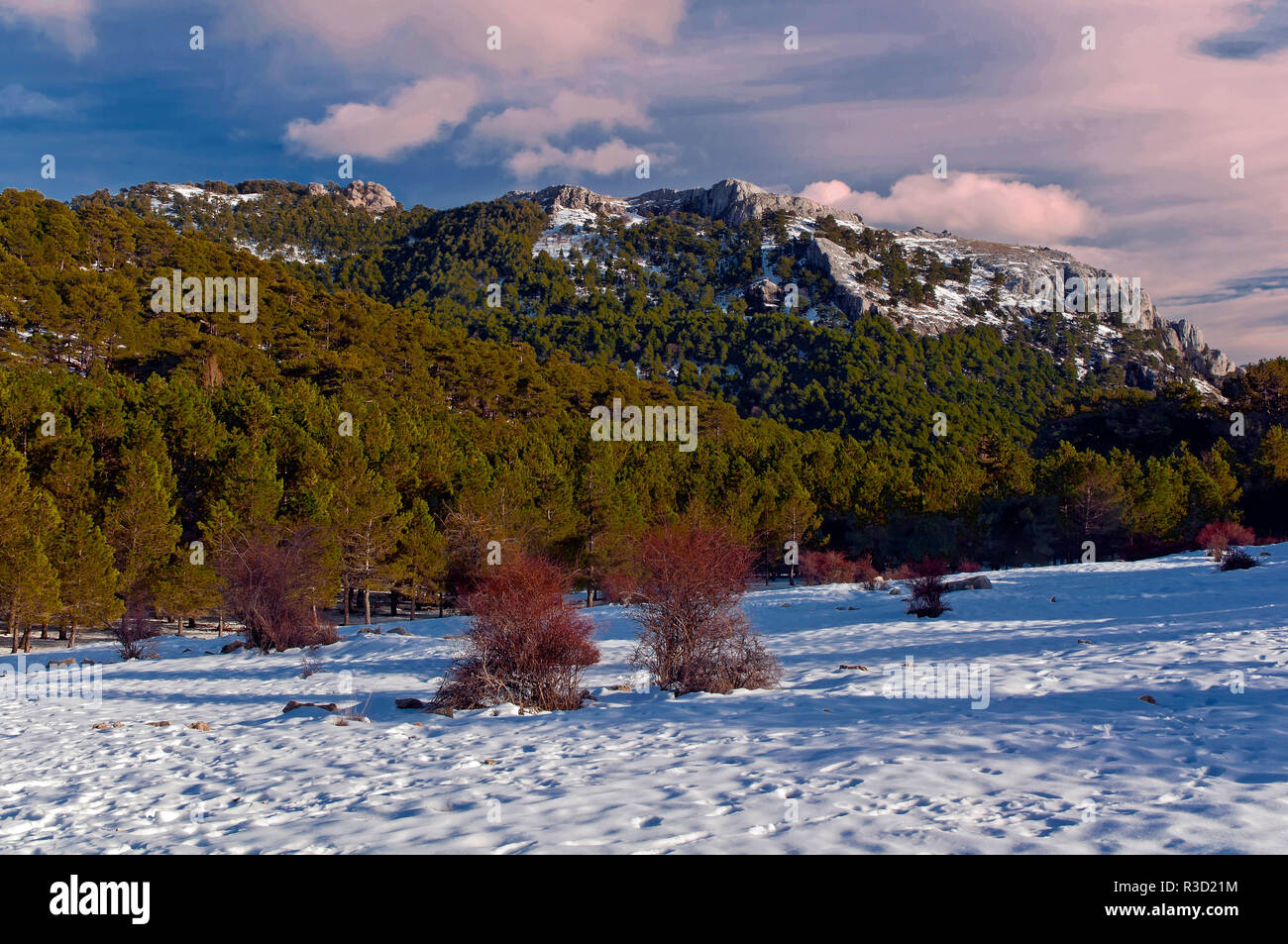 Paesaggio nevicato, parco naturale della Sierras de Cazorla Segura y Las Villas, Jaen provincia, regione dell'Andalusia, Spagna, Europa Foto Stock