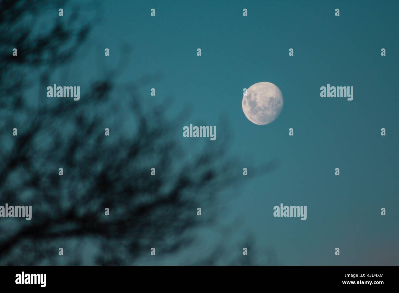 Ceratura luna su un cielo stellato di notte in Nuova Zelanda Foto Stock
