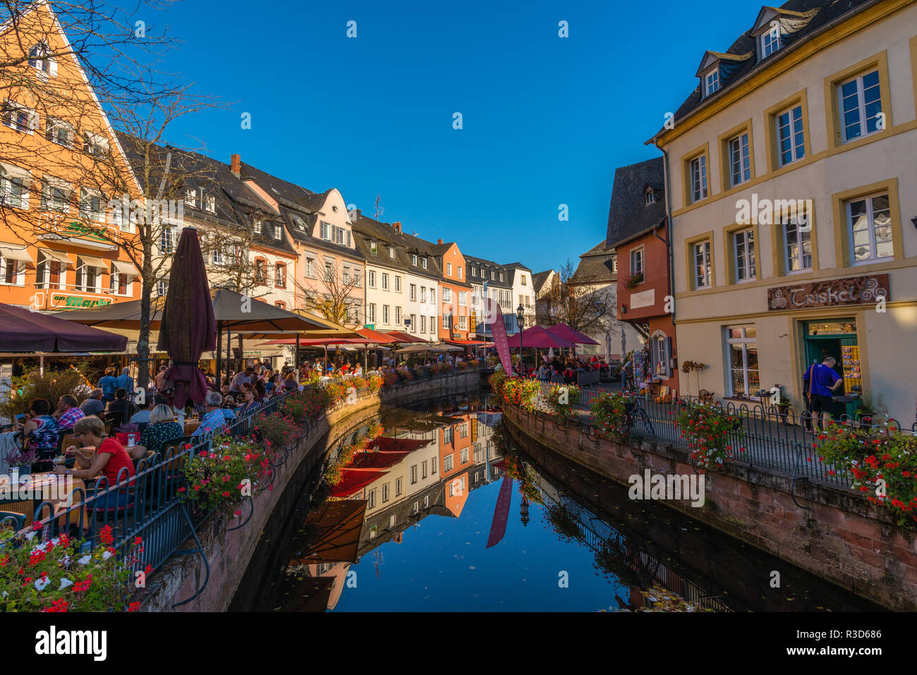 Città di Saarburg sul fiume Saar, parco naturale Saar-Hunsrück, circondato da vigneti, principalmente Riesling, Renania-Palatinato, Germania Foto Stock