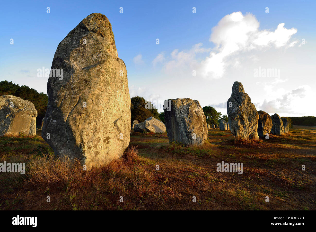 Carnac (Bretagna, a nord-ovest della Francia): Kermario allineamenti megalitici. Il menhir di Lagundo, pietre permanente di sunrise Foto Stock