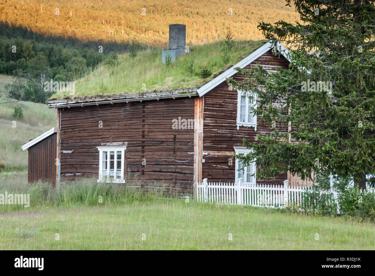 Norwegian tipico tetto di erba country house Foto Stock