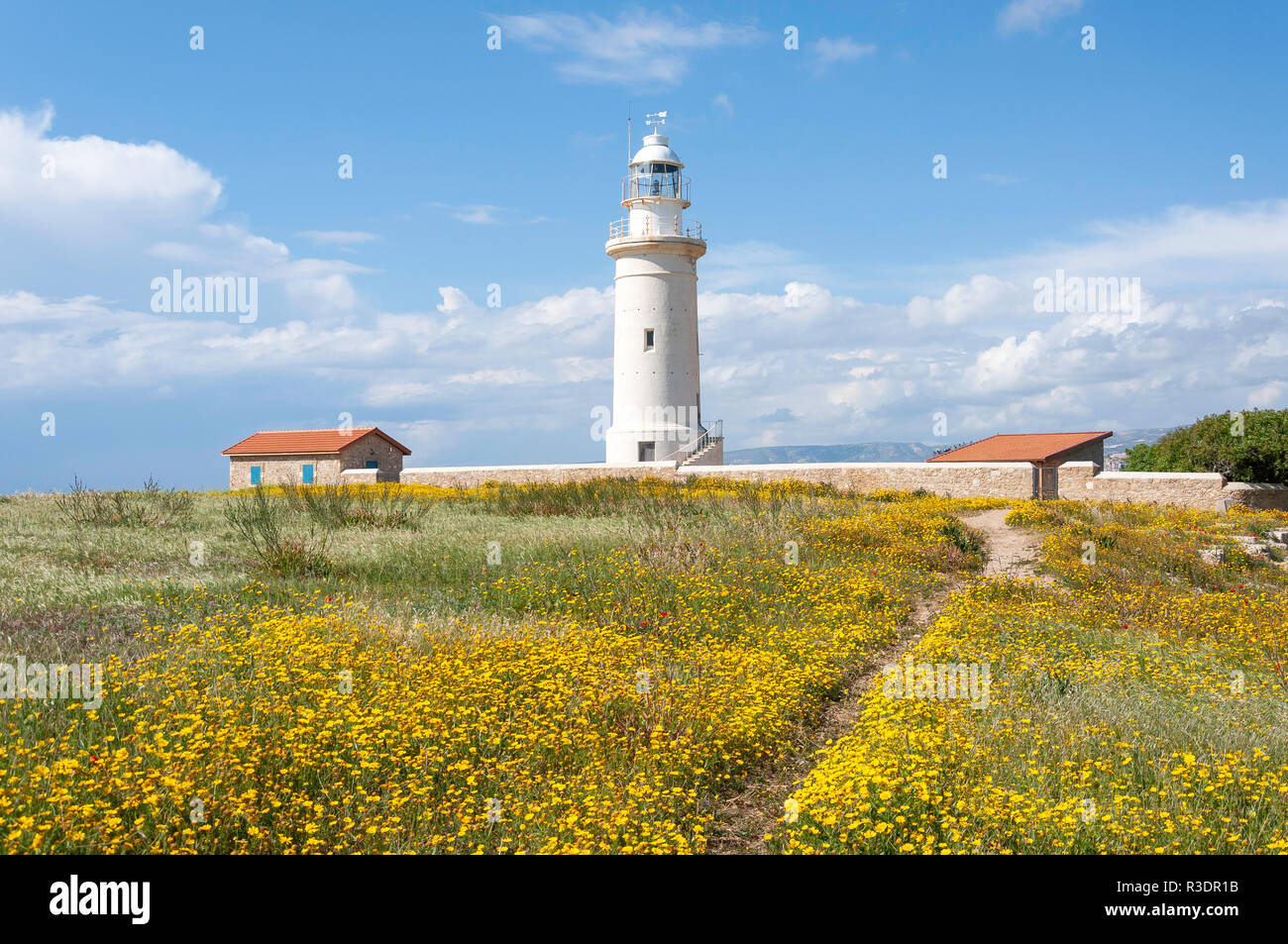 Teatro Odeon faro, Sito Archeologico di Kato Pafos, Paphos (Paphos), Pafos District, la Repubblica di Cipro Foto Stock