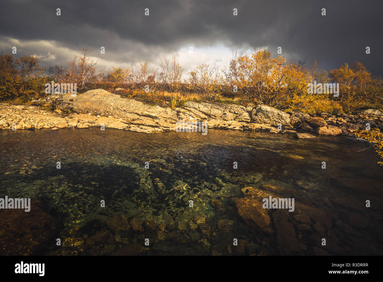 Fiume e alberi autunnali in Sylan montagne. Luce calda e satura i colori. Foto Stock