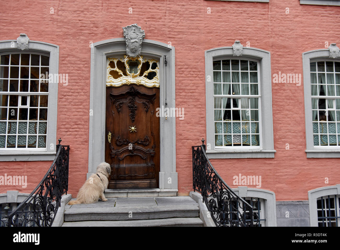 Cane in attesa fuori casa Monschau in Germania Foto Stock