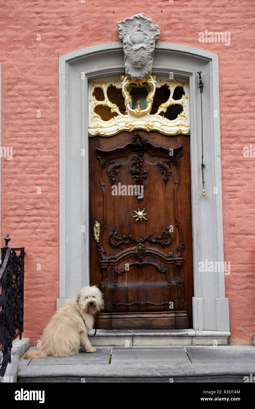 Cane in attesa fuori casa Monschau in Germania Foto Stock