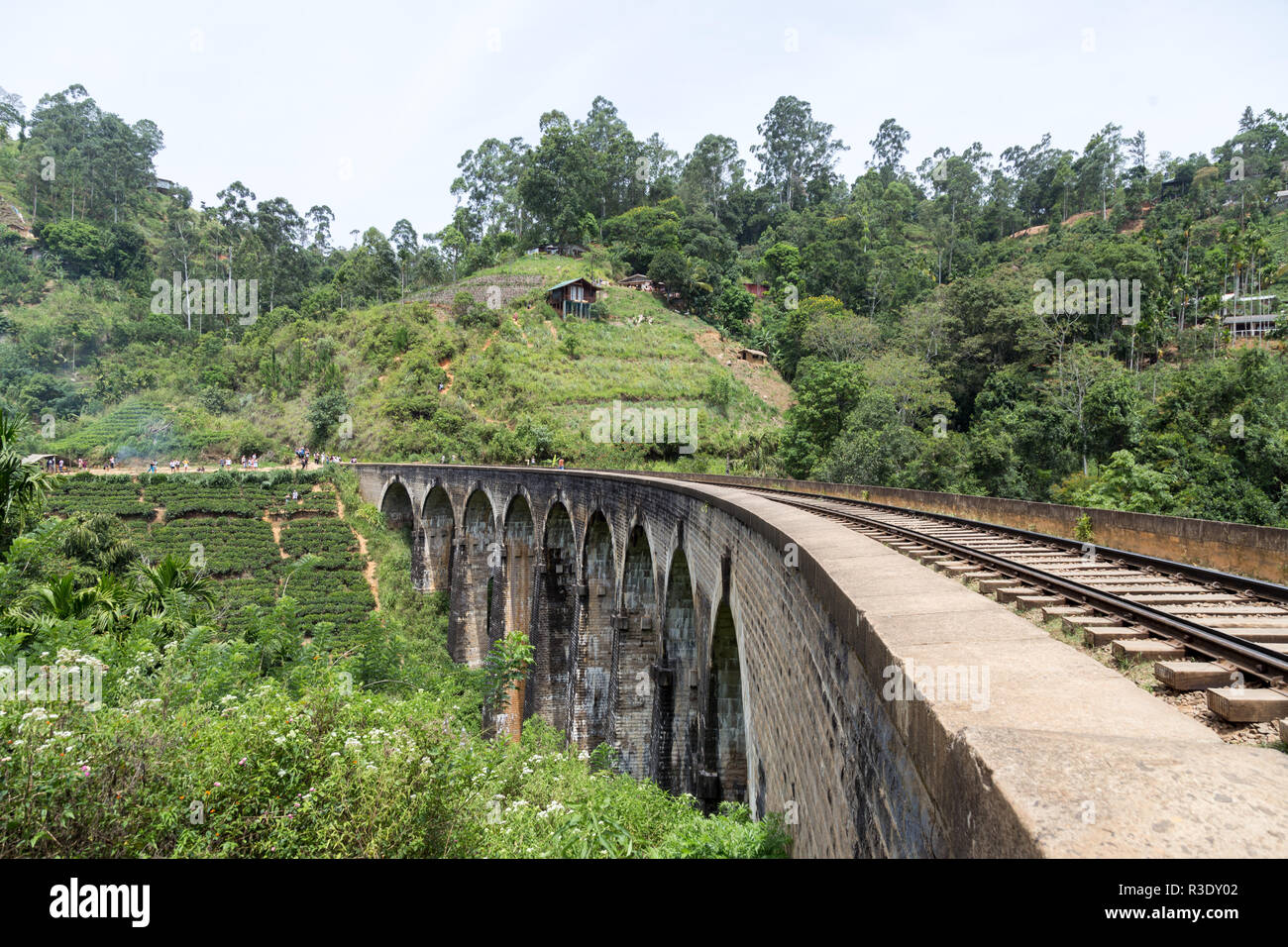 Famosa nove ponte di arco in Demodara, Sri Lanka Foto Stock