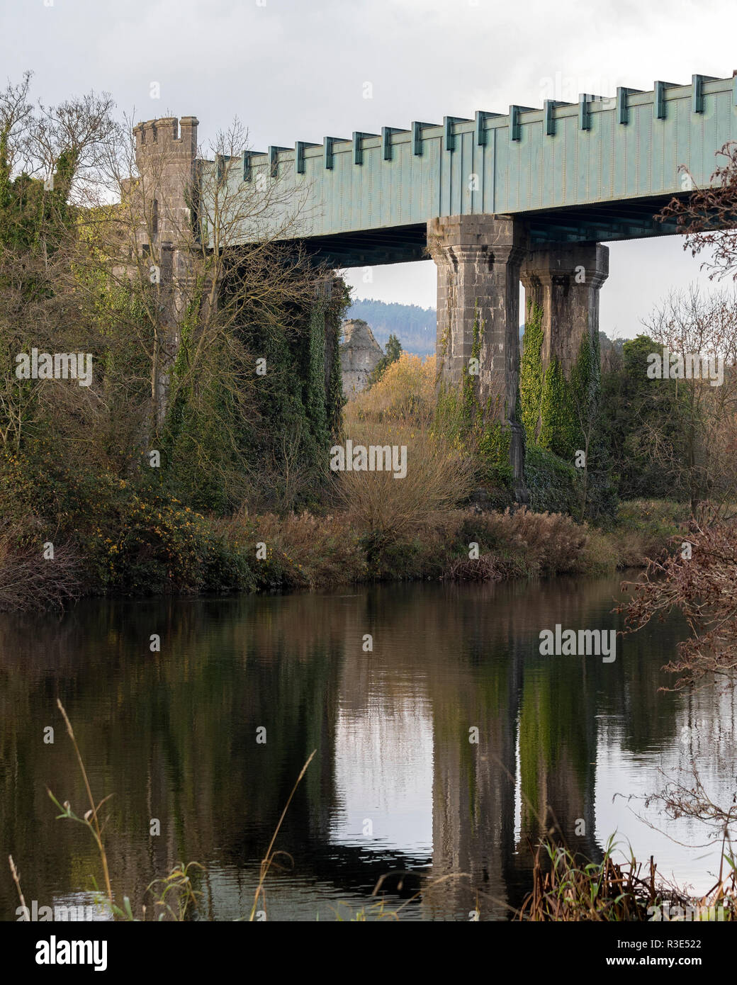 Vista di parte del viadotto sul fiume Suir, Cahir, Tipperary, Irlanda Foto Stock