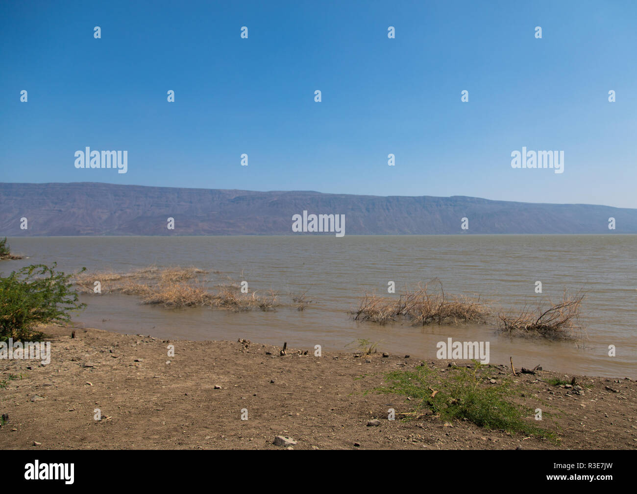 Lago Afambo, regione di Afar, Afambo, Etiopia Foto Stock