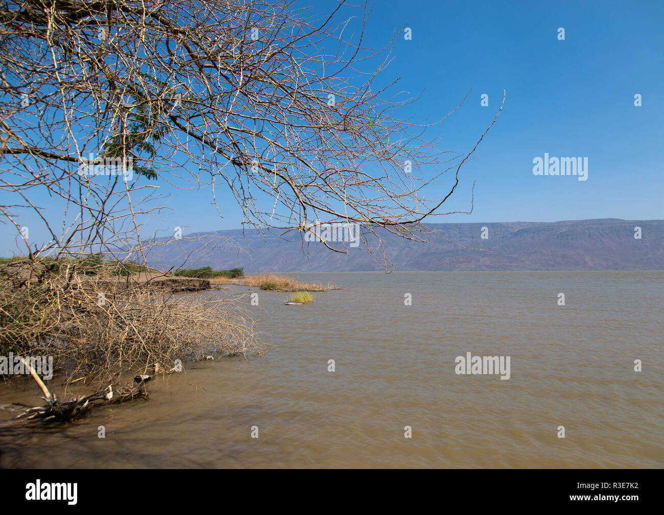 Lago Afambo, regione di Afar, Afambo, Etiopia Foto Stock