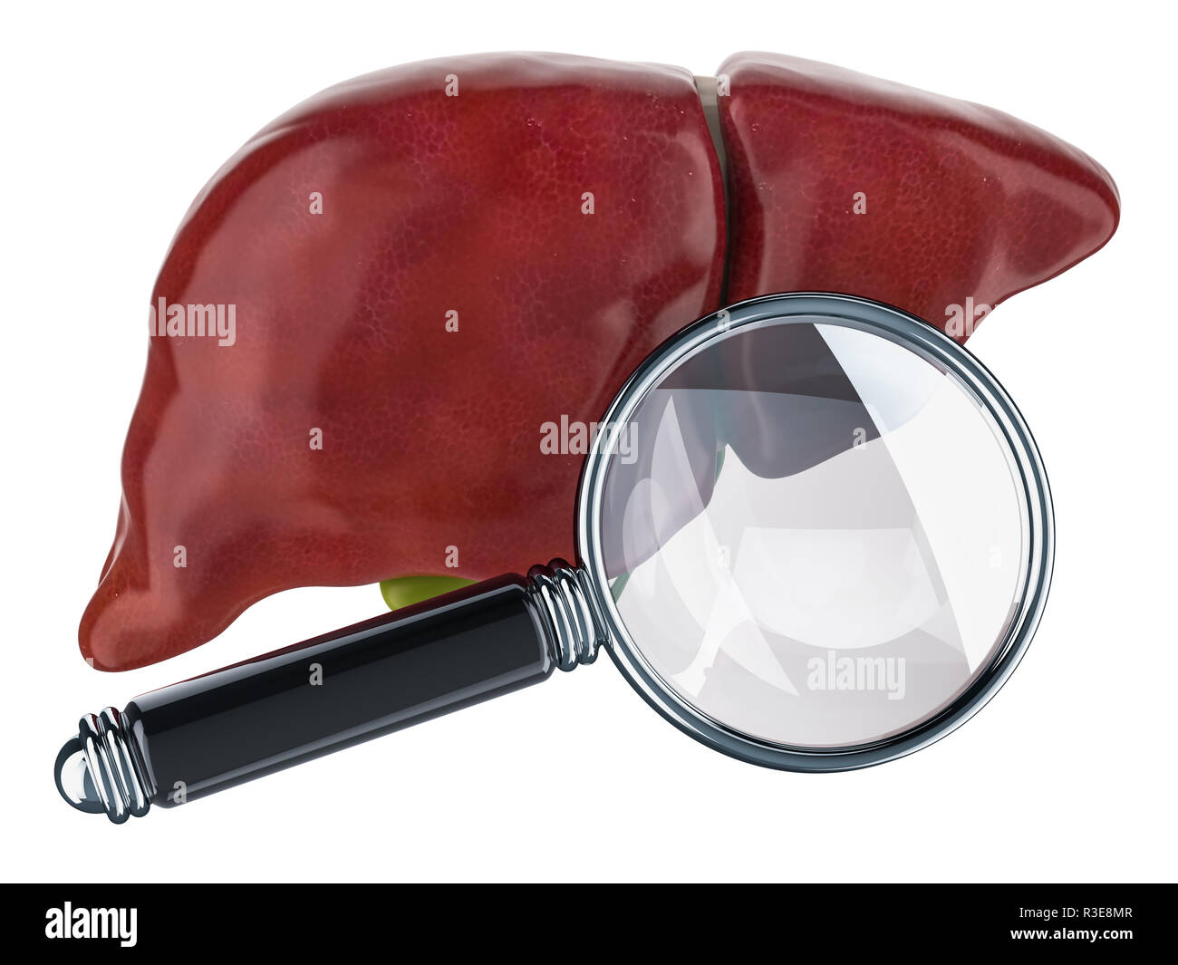 Il fegato umano con lente di ingrandimento. Ricerca e diagnosi del concetto di fegato, rendering 3D isolati su sfondo bianco Foto Stock