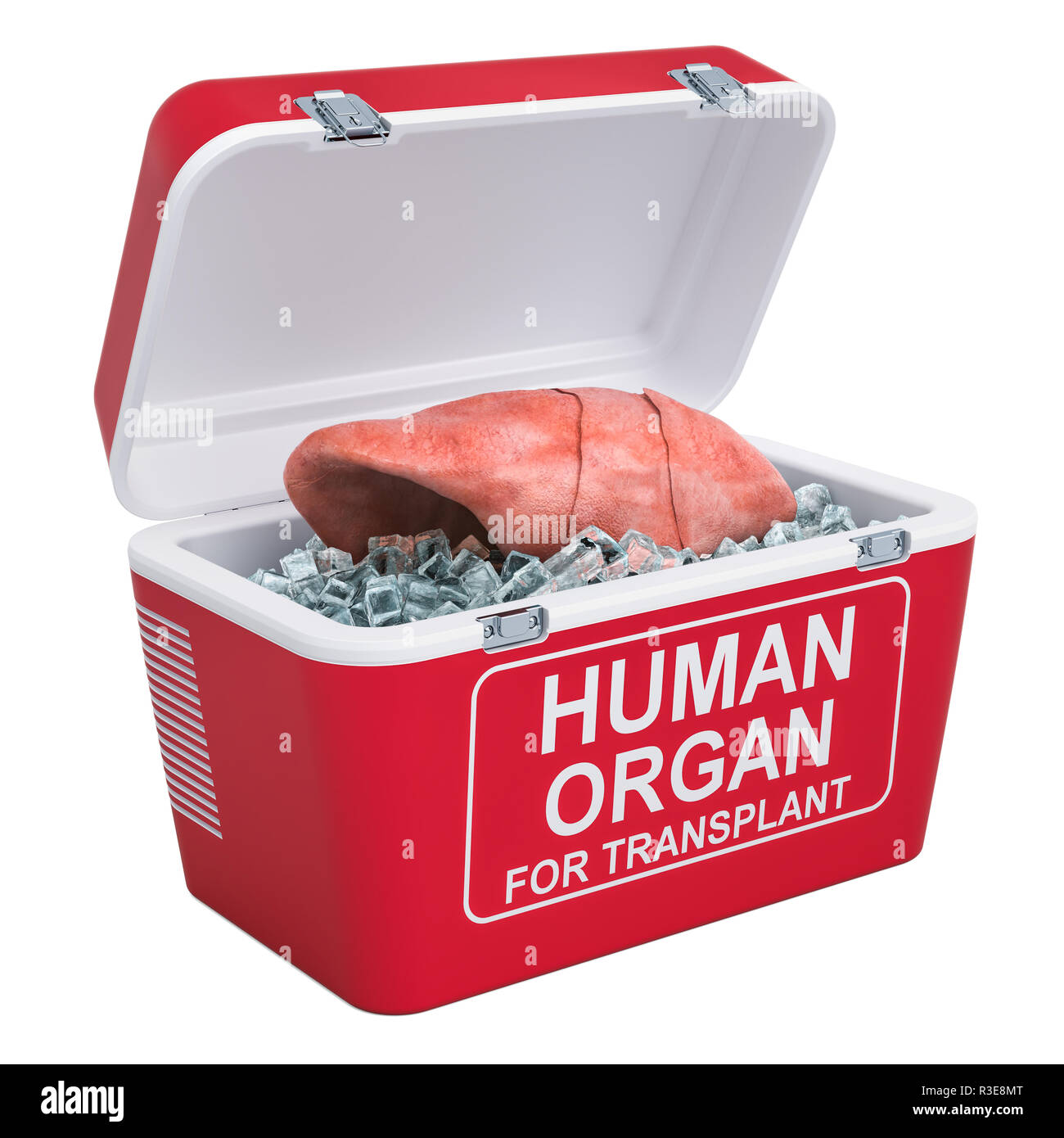 Polmone umano all'interno del frigo portatile per il trasporto di organi provenienti da donatori, rendering 3D isolati su sfondo bianco Foto Stock