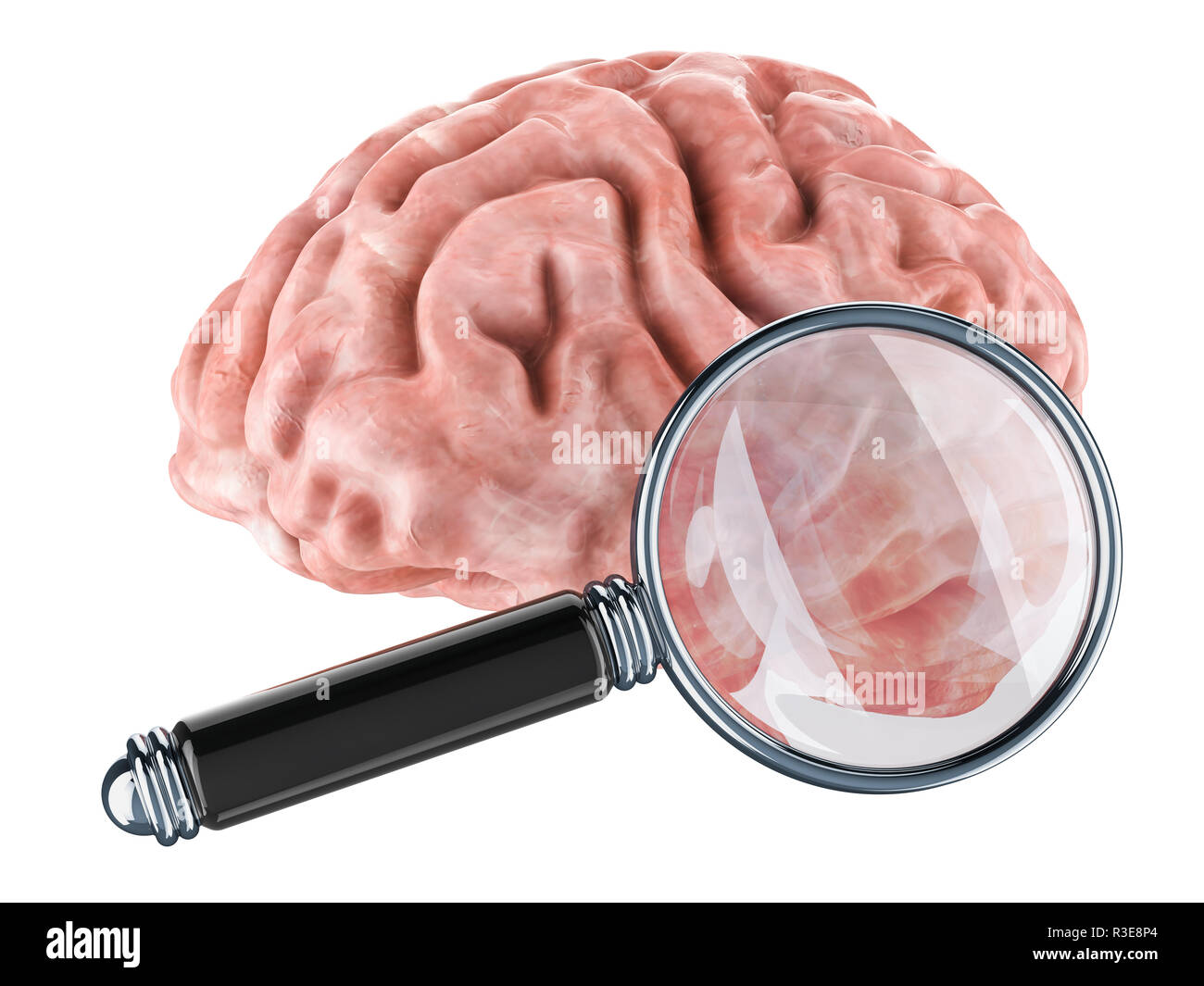 Cervello umano con lente di ingrandimento, rendering 3D isolati su sfondo bianco Foto Stock