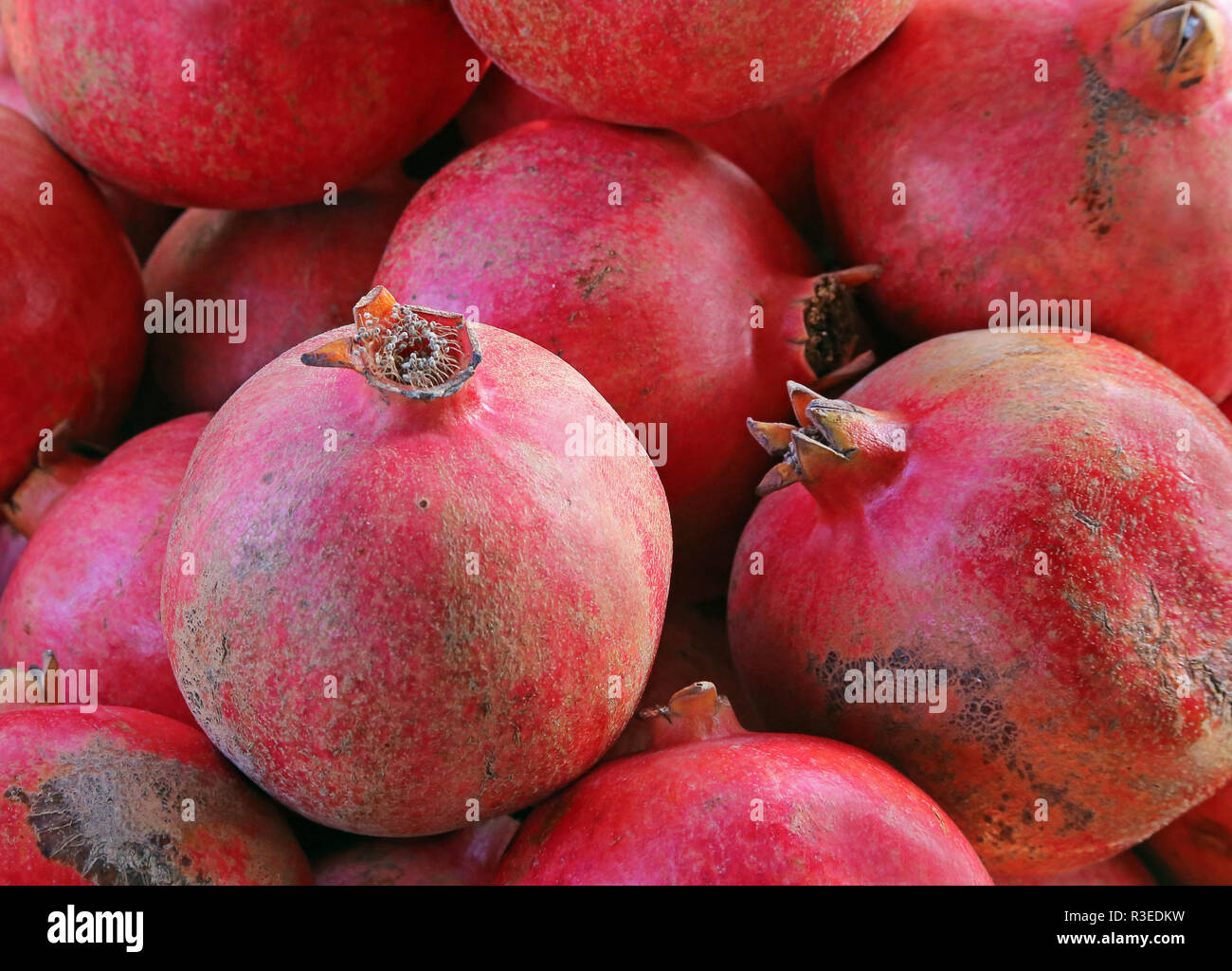 Melograni Foto Stock