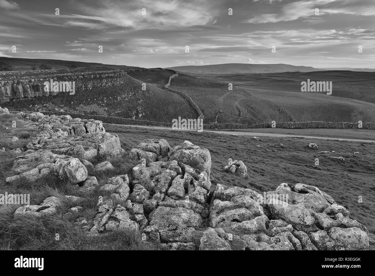 Pavimentazione di pietra calcarea vicino al villaggio di Conistone nel Yorkshire Dales National Park, North Yorkshire, Regno Unito Foto Stock