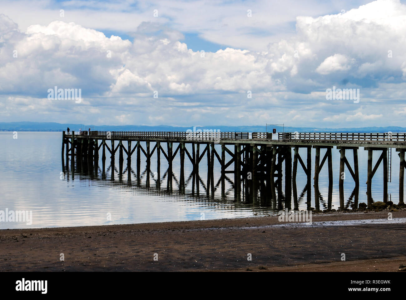 Il Cornwallis Wharf, West Auckland, Nuova Zelanda con bassa marea nel mezzo della giornata Foto Stock