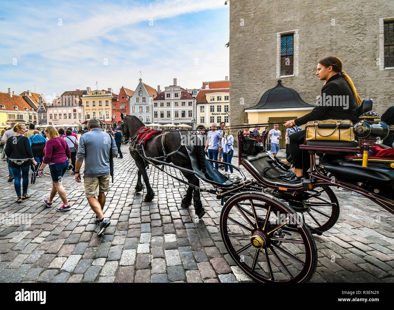 Una carrozza a cavallo e cavaliere per il noleggio in Tallinn in Estonia la Piazza della Città Vecchia in una intensa giornata estiva con turisti che si godono le strade medievali e negozi Foto Stock
