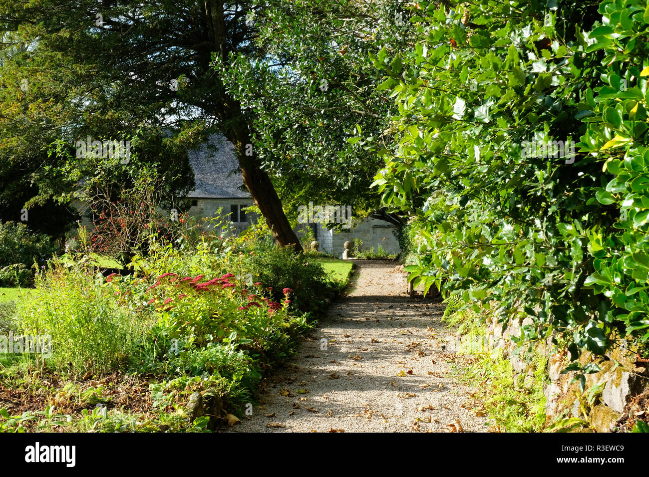 Un Cornish giardino immerso nella luce del sole autunnale - Giovanni Gollop Foto Stock