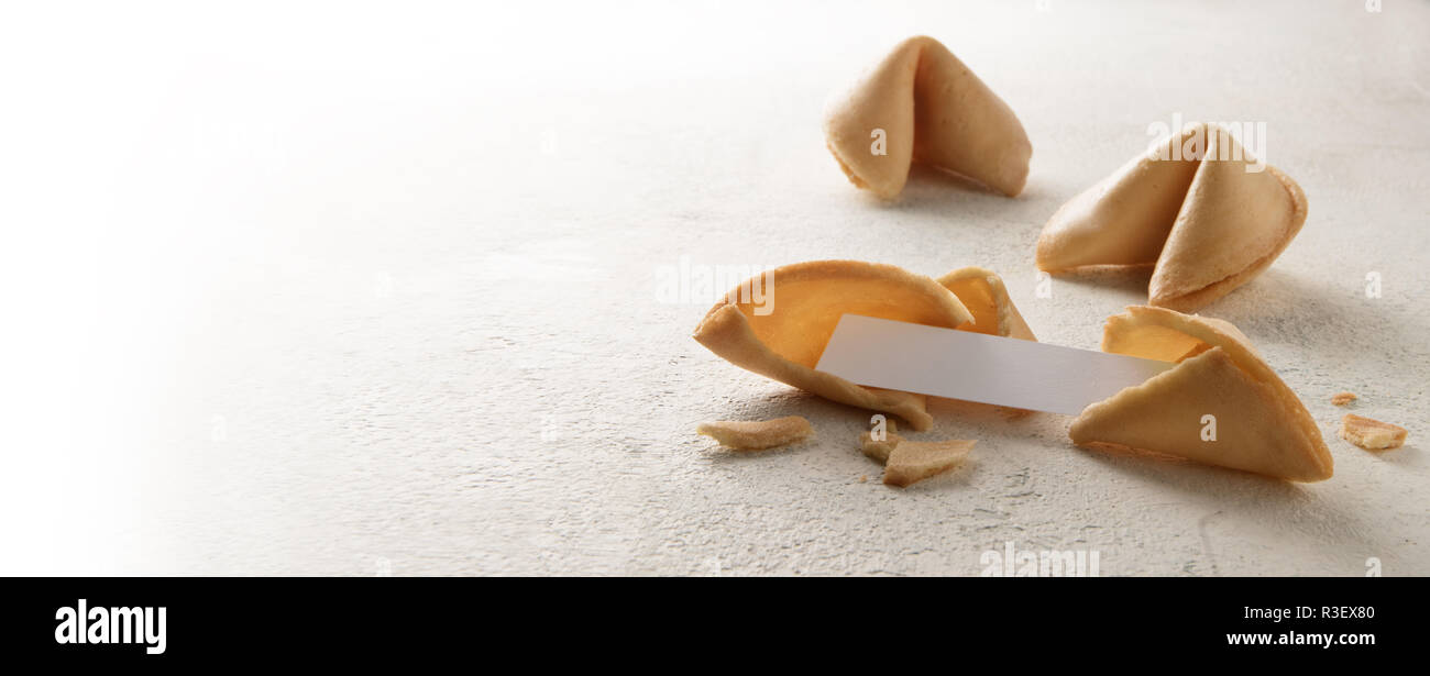 Il cinese fortune cookie con una carta vergine slip per la predizione, formato panoramico, sfondo luminoso che si tinge di bianco, spazio copia selezionata, focus, na Foto Stock