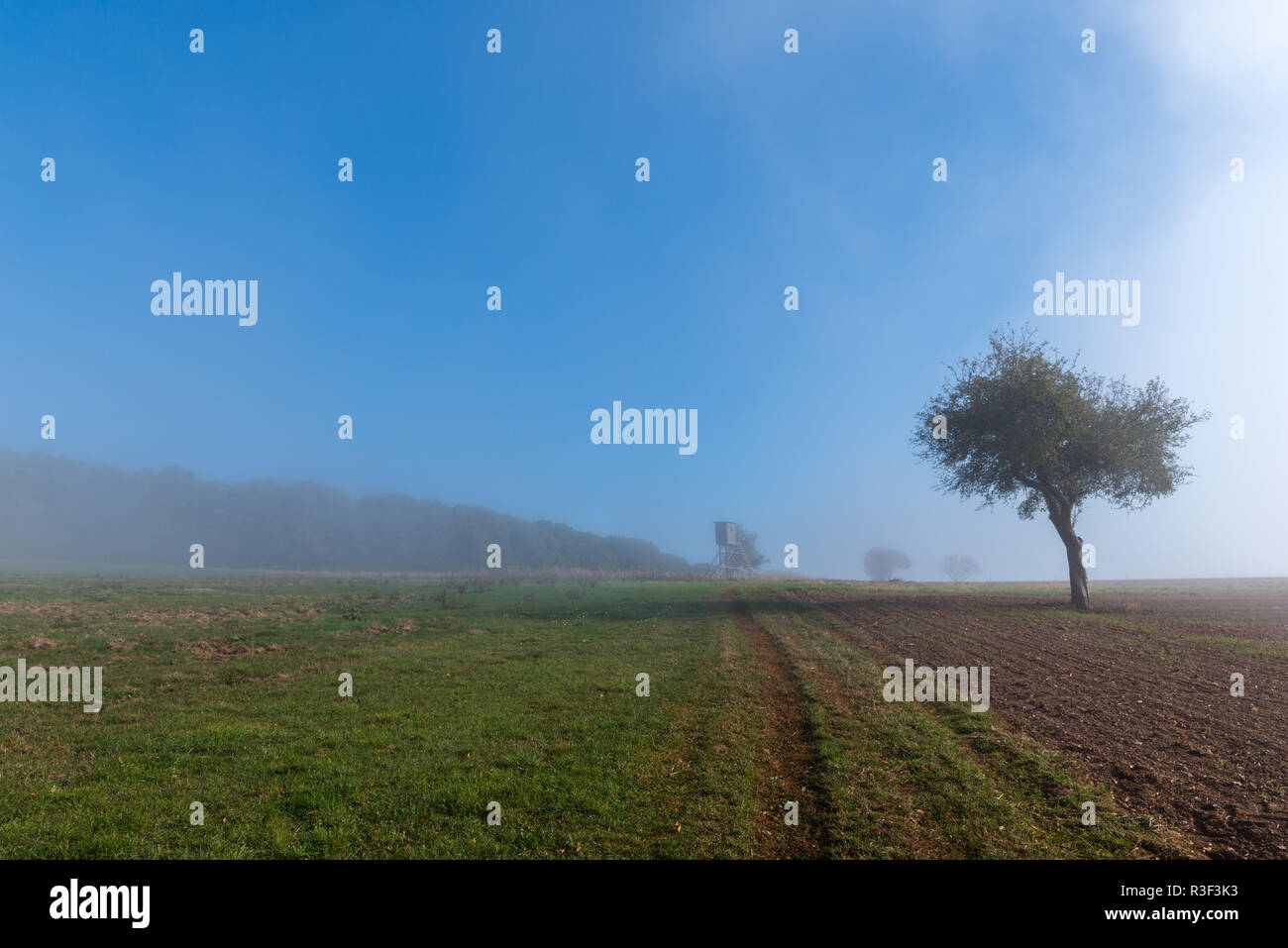 High fog fino alle colline e nelle valli vicino Irsch, città di Saarburg, Renania-Palatinato, Germania Foto Stock