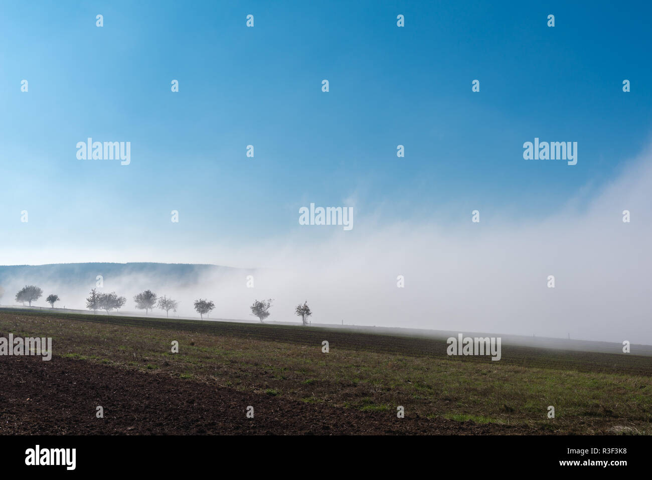 High fog fino alle colline e nelle valli vicino Irsch, città di Saarburg, Renania-Palatinato, Germania Foto Stock