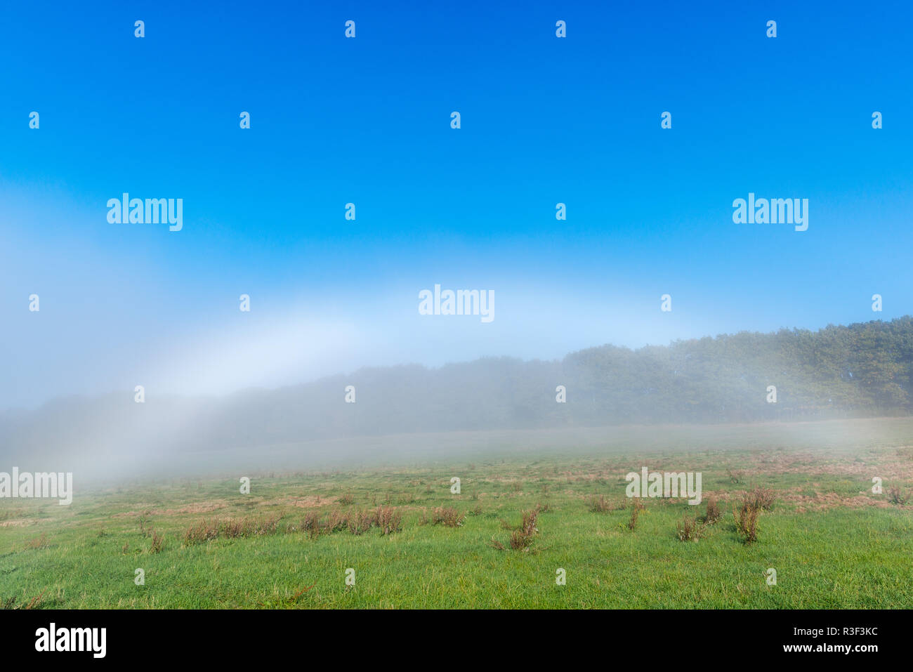 High fog fino alle colline e nelle valli vicino Irsch, città di Saarburg, Renania-Palatinato, Germania Foto Stock