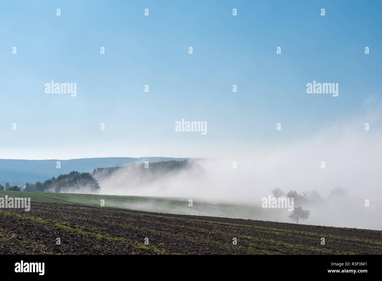 High fog fino alle colline e nelle valli vicino Irsch, città di Saarburg, Renania-Palatinato, Germania Foto Stock
