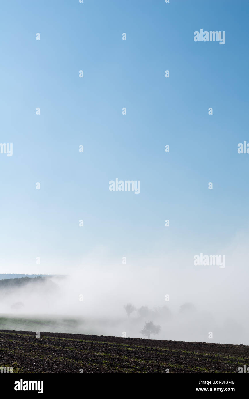 High fog fino alle colline e nelle valli vicino Irsch, città di Saarburg, Renania-Palatinato, Germania Foto Stock