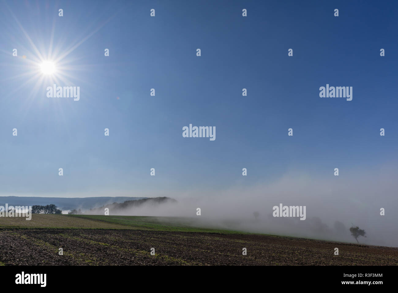 High fog fino alle colline e nelle valli vicino Irsch, città di Saarburg, Renania-Palatinato, Germania Foto Stock