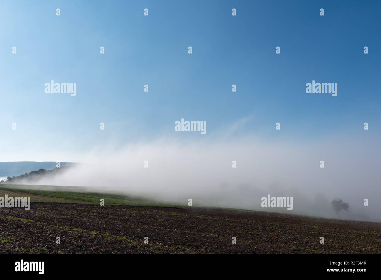 High fog fino alle colline e nelle valli vicino Irsch, città di Saarburg, Renania-Palatinato, Germania Foto Stock