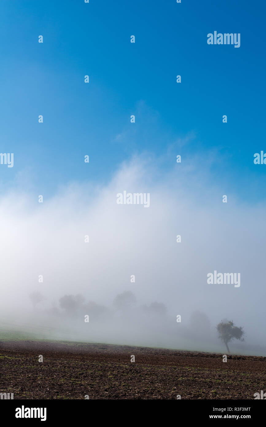 High fog fino alle colline e nelle valli vicino Irsch, città di Saarburg, Renania-Palatinato, Germania Foto Stock