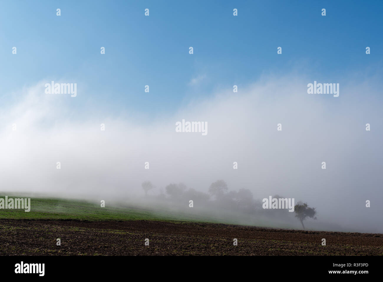 High fog fino alle colline e nelle valli vicino Irsch, città di Saarburg, Renania-Palatinato, Germania Foto Stock