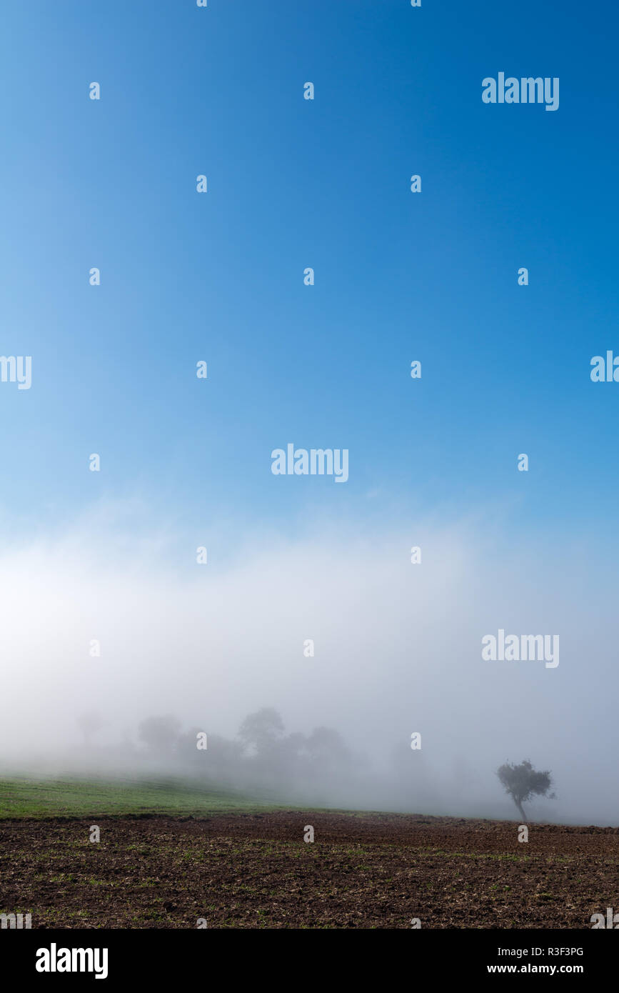High fog fino alle colline e nelle valli vicino Irsch, città di Saarburg, Renania-Palatinato, Germania Foto Stock