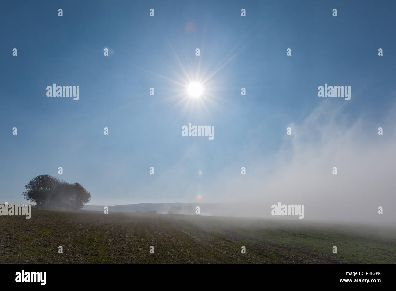 High fog fino alle colline e nelle valli vicino Irsch, città di Saarburg, Renania-Palatinato, Germania Foto Stock